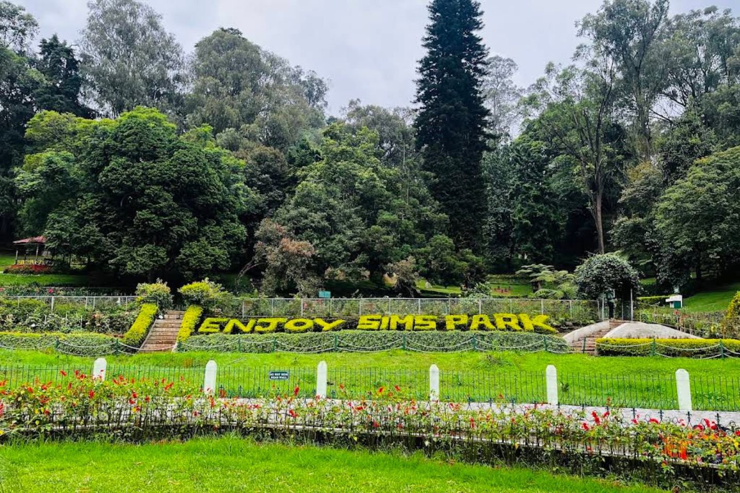 Sims Park